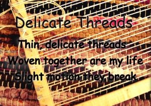 Delicate Threads